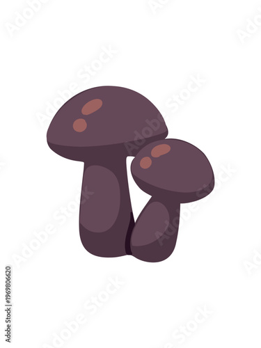 forest mushrooms detailed woodland vector illustration set