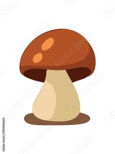 fresh boletus mushroom detailed forest vector illustration