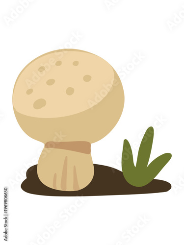 white button mushroom detailed botanical vector illustration natural look