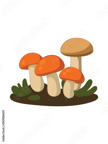 cluster of forest mushrooms detailed botanical vector illustration