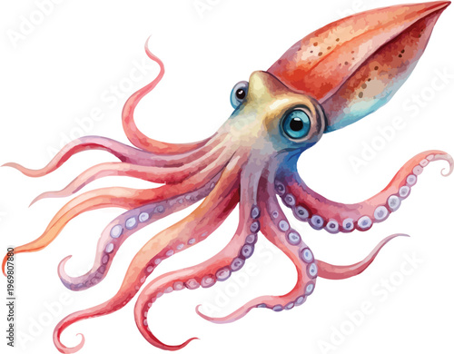 Watercolor Squid Illustration, Deep Sea Creature Clipart, isolated on white background