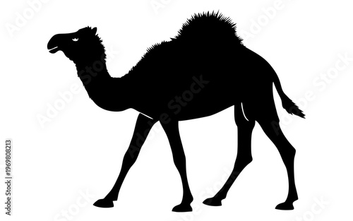 Vector Illustration of Black Camel Silhouette on White Background