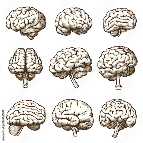 Collection of Innovative Mind Emblem Vector