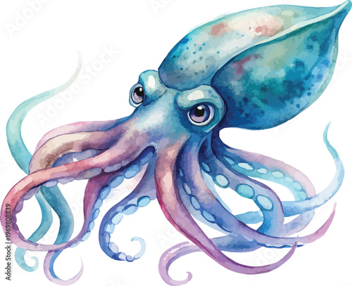 Squid Watercolor, Ocean Marine Life Art, Isolated Vector Clipart