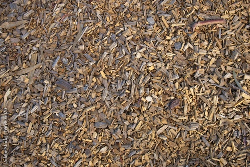 Natural Wood Chip Mulch Texture Background – Organic Garden Surface