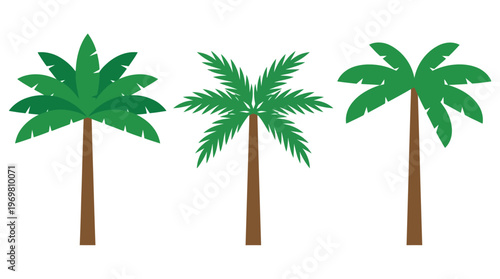 Three simple cartoon palm trees with green leaves and brown trunks on a white background, representing tropical nature.