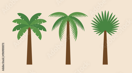 Three different types of green palm trees with brown trunks on a light beige background, showcasing various leaf shapes.