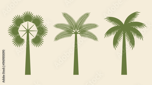Three distinct stylized green palm tree illustrations showcasing different frond arrangements and tropical plant designs on a light background.