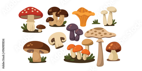 kawaii forest mushrooms collection in bright cartoon style