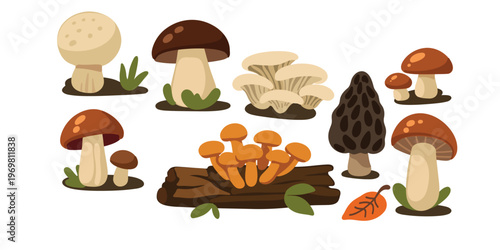 playful bright mushrooms collection for cute nature design