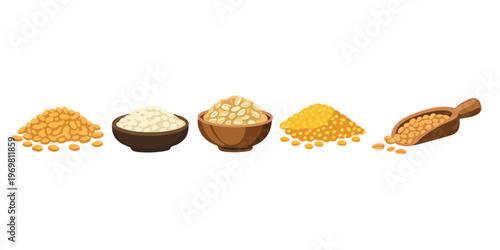 organic cereal crops set wheat rice oats barley farming design