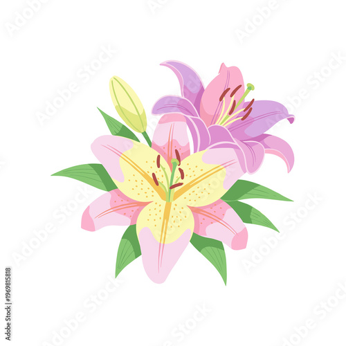 Pink and Yellow Lily Flowers Bouquet Flat Vector