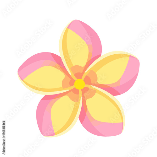 Five petal flower flat png illustration