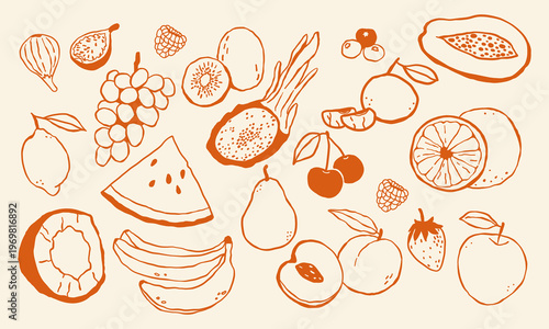 Minimalist hand drawn fruit set. Vector line of tropical and garden fruits coconut, citrus, banana, apple, grape, lemon, pomegranate, fig, strawberry for packaging, branding, menus and healthy design