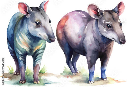 Tapir Watercolor, Exotic Jungle Wildlife Clipart, Isolated Vector Illustration