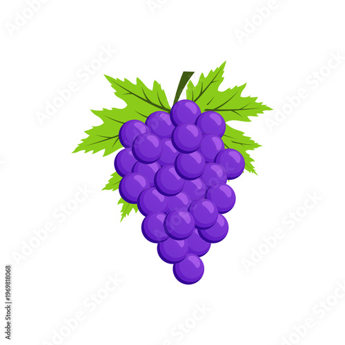 Fresh Purple Grapes Cluster with Green Leaves