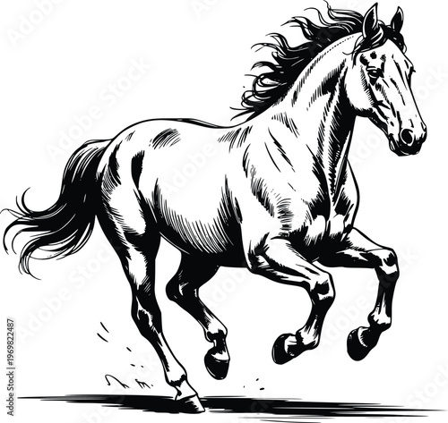 Engraving Galloping horse vector illustration in black and white sketch style strong powerful animal silhouette with dynamic flowing mane and tail in movement isolated on transparent background.