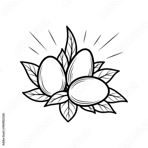 Morning sunlight on garden eggs with leaves in black and white  