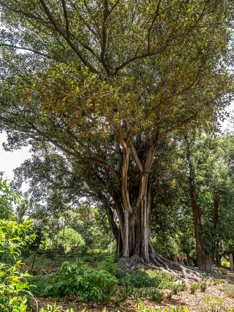 Obraz premium Australien