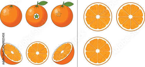 Orange Fruit Illustration Set Featuring Whole Oranges with Leaves and Detailed Cross Section Slices Fresh Citrus Vector Collection