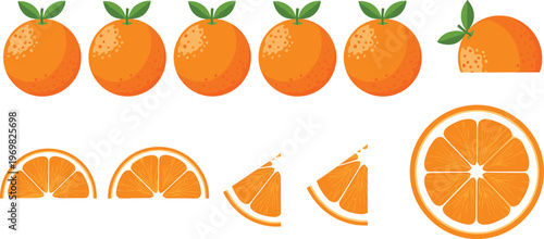 Orange Fruit Illustration Set Featuring Whole Oranges Halves and Slices with Fresh Citrus Details Isolated on Transparent Background Vector