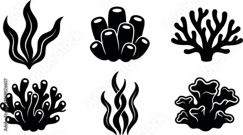 Various coral and seaweed shapes underwater