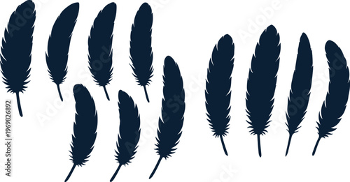 Silhouettes of illustration with eleven black feathers a white background.