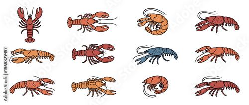 Lobster and shrimp cartoon illustrations set showcasing various marine crustaceans in a vibrant, hand-drawn style.