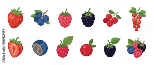 Collection of fresh and ripe berries including strawberries, blueberries, raspberries, blackberries, cranberries, and red currants, showcasing healthy fruit options.