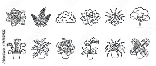 Collection of various plants and houseplants in a simple line art style, including succulents, ferns, orchids, and potted greenery, perfect for botanical design elements.