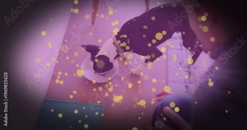 Owner placing plate near dog on floor, dog eating beneath yellow overlay covering hands for health