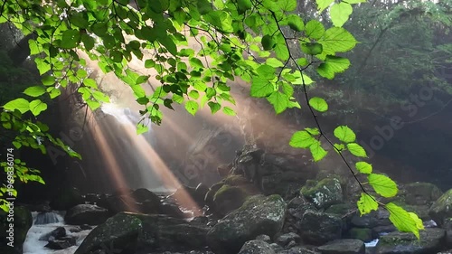 朝日輝く阿蘇の夫婦滝