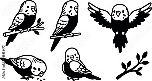 Black and white budgie birds sitting flying and feeding with branch vector art