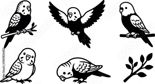 Black and white line art budgerigar birds perched flying and bending with branch