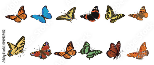 Beautiful colorful butterflies with intricate wing patterns are depicted in a vibrant collection, showcasing the diversity of these delicate insects.