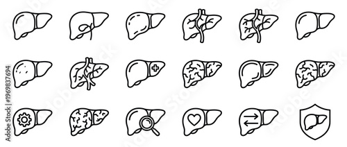 Human liver organ icons set representing anatomy, health, medical care, and various conditions or functions in outline style.