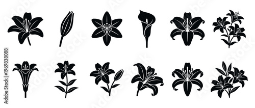 Lily flowers and buds vector silhouettes set, elegant black floral icons for design and decoration projects.