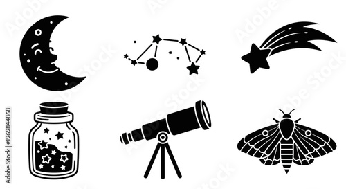 Black and white moth insect illustration.