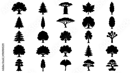 Set of various black tree silhouettes representing different species for landscaping and forest design