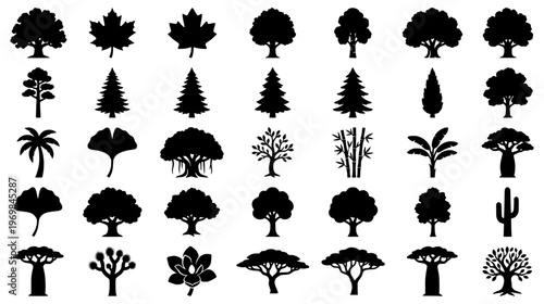Large variety of tree silhouettes including pine maple palm and baobab species