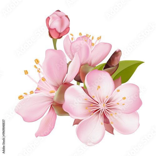 Realistic pink sakura blossom branches with buds and falling petals. Elegant spring floral elements isolated on light background