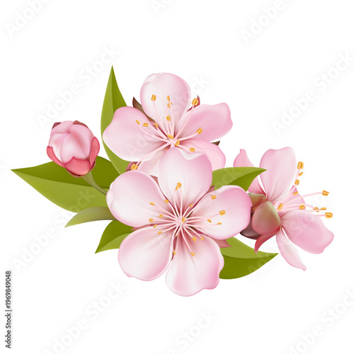 Realistic pink sakura blossom branches with buds and falling petals. Elegant spring floral elements isolated on light background