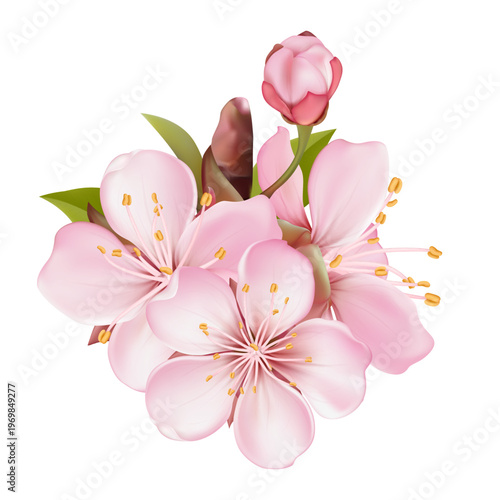 Realistic pink sakura blossom branches with buds and falling petals. Elegant spring floral elements isolated on light background