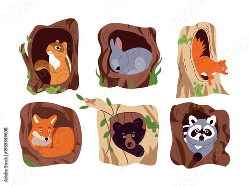 Cute woodland animals in tree hollows flat vector set, chipmunk rabbit squirrel fox bear raccoon cartoon characters, forest wildlife illustration collection