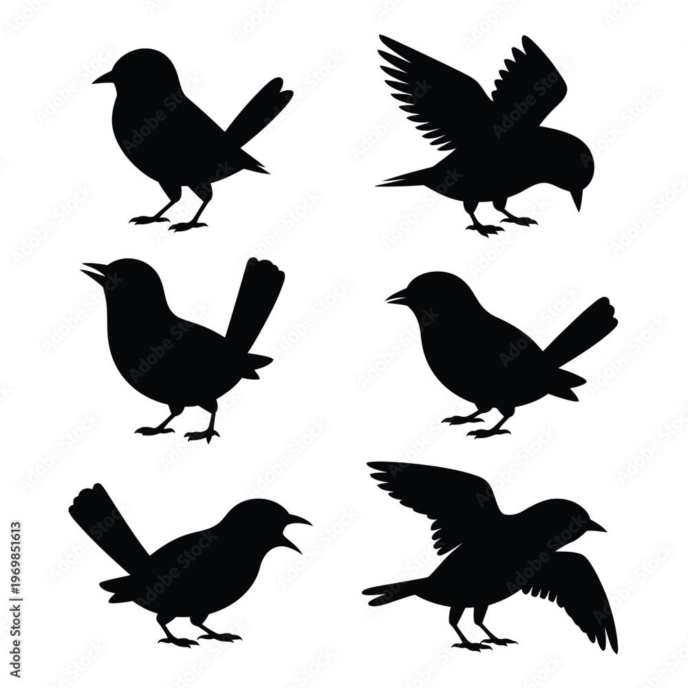 Fototapeta premium Six black bird silhouettes in various poses on white background