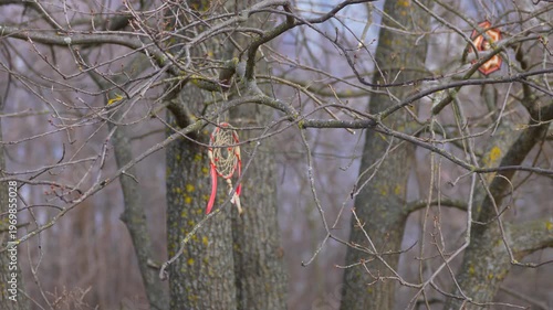 dream catchers on a tree branches