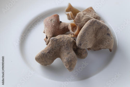 rhus chinensis - Chinese sumac