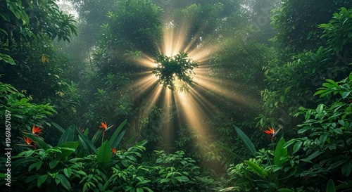 Brilliant sun rays pierce through dense tropical foliage creating a mystical forest atmosphere