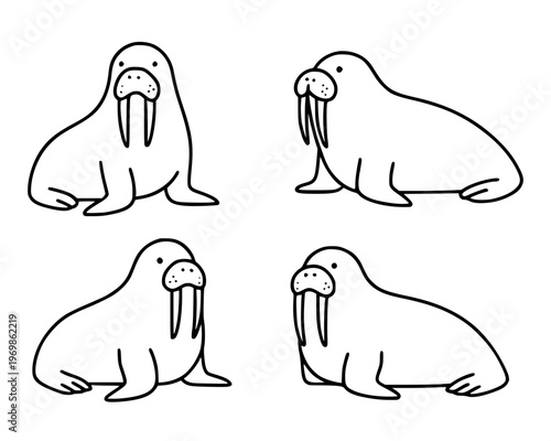 Walrus set vector illustration, in outline, for animal coloring design, isolated on transparent background PNG