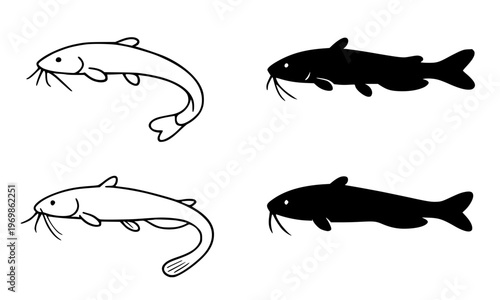 Catfish set vector illustration, in outline and silhouette, for animal coloring design, isolated on transparent background PNG